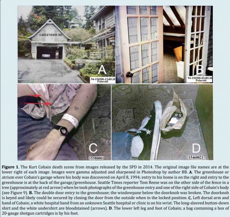 International-Journal-of-Forensic-Science-Report