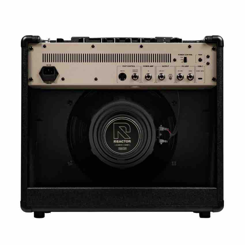 Positive Grid Reactor 50 Amp rear panel
