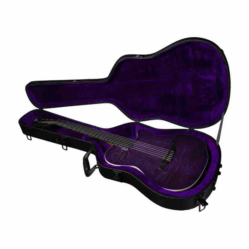 Steve Stevens matching purple lined case