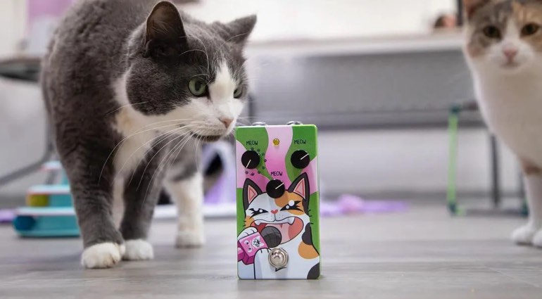 Unleash Your Inner Feline Fury: Meowdulator - The World's First Guitar Cat Synth Pedal